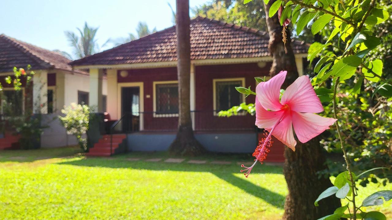 Garden Villa Vagator Bagian luar foto